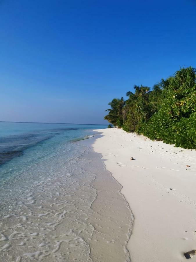 Faima Fishing Lodge At Daravandhoo Dharavandhoo Ngoại thất bức ảnh