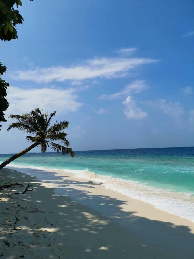 Faima Fishing Lodge At Daravandhoo Dharavandhoo Ngoại thất bức ảnh