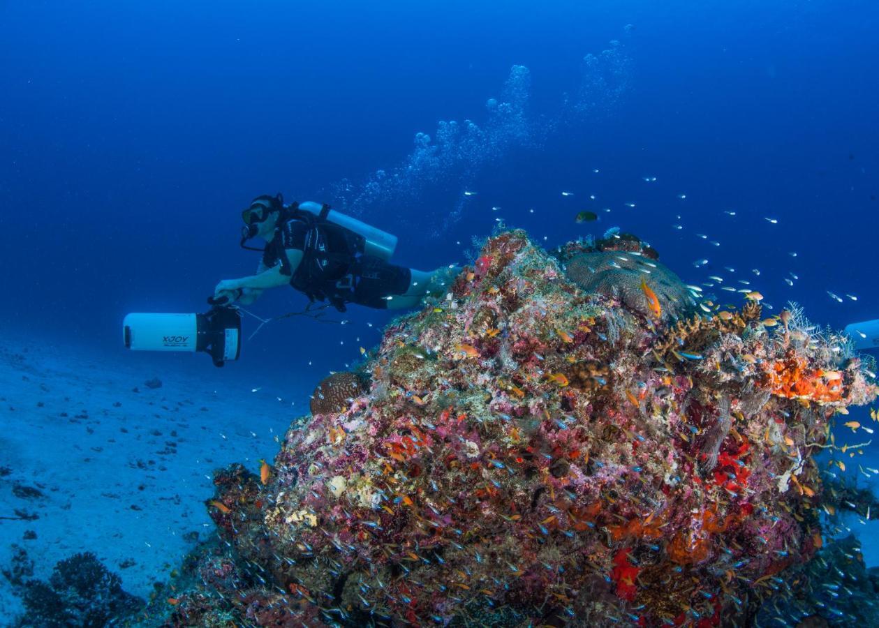 Faima Fishing Lodge At Daravandhoo Dharavandhoo Ngoại thất bức ảnh