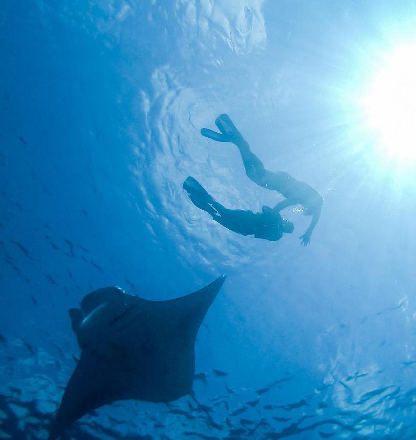 Faima Fishing Lodge At Daravandhoo Dharavandhoo Ngoại thất bức ảnh